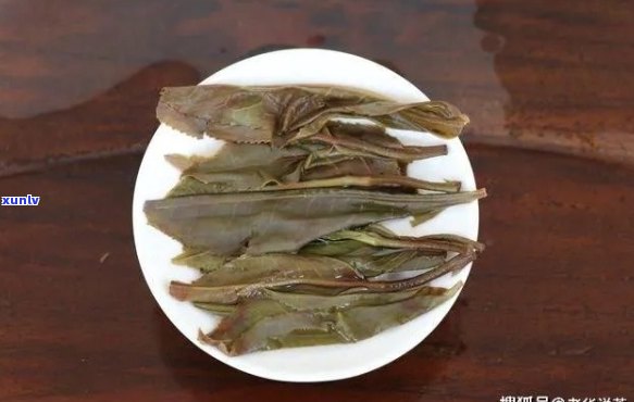 普洱茶的树叶味：成因、特点与品鉴 *** 全面解析