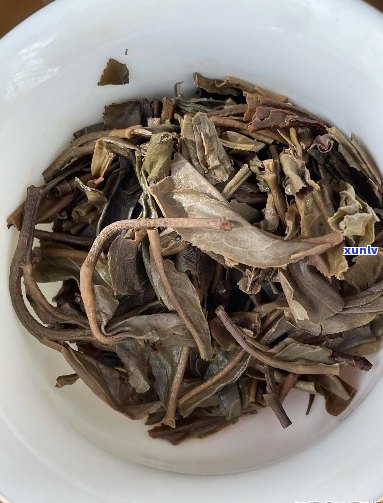 熟普洱茶一股树叶味