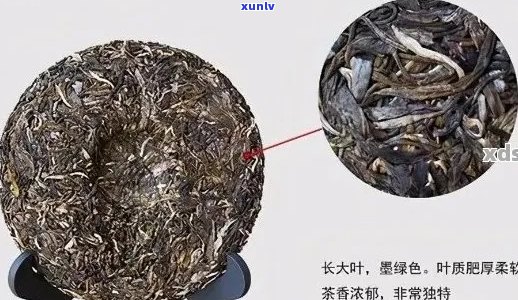 几万块的普洱茶：真假鉴别与品饮指南