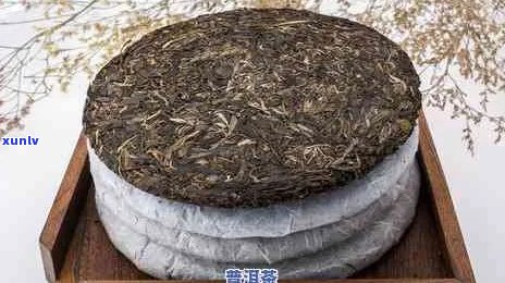 全方位解析：上万元的普洱茶饼究竟价值何在？购买前需了解的关键因素