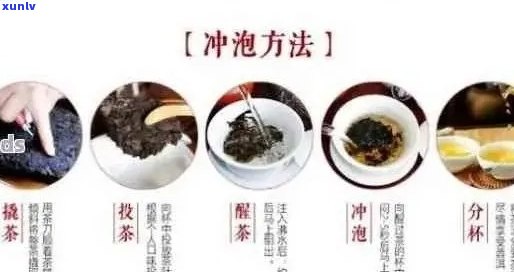 普洱茶球冲泡全攻略：从选茶到冲泡，一文详解！