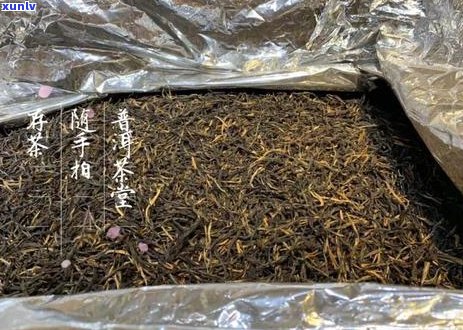 普洱茶的真相：揭秘常见误区与误导