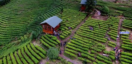 六大茶山普洱茶拼配系列价格表查询：2002年六大茶山茶业普洱牌价格