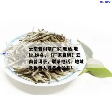 云南普洱茶专业生产与供应商：云普发普洱茶