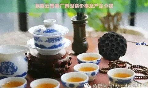 昆明云普茶厂：优质普洱茶生产商，为您提供全面的普洱茶产品信息及购买指南