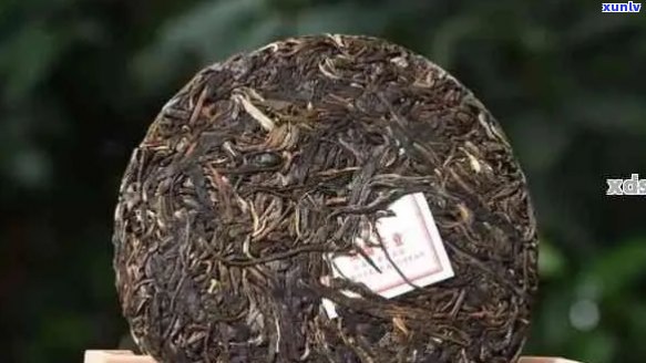 新普洱茶存的适宜度范围是多少度？