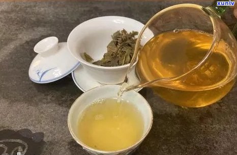 薄荷塘普洱茶的口感特征及其品鉴技巧：一篇全面指南