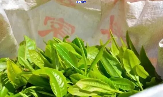 千家寨普洱茶生茶：品质、产地、 *** 工艺及品饮 *** 全面解析