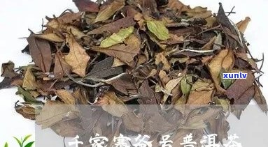 千家寨普洱熟茶价格查询，了解特点口感与价钱