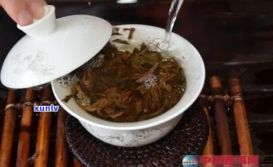 老百姓怎么泡普洱茶