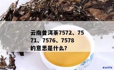 普洱茶6561、7562、7663分别是什么意思？