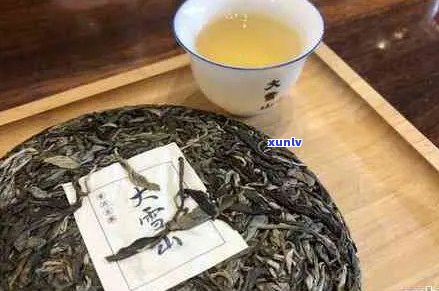 大雪山普洱生茶怎么喝好？冲泡口感与 *** 全解析！