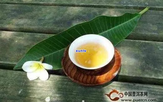 普洱茶对糖尿病患者的影响： 一杯普洱茶能否带来健效益？