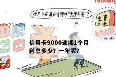 信用卡逾期不超过9000元怎么办：逾期一个月利息、起诉期限及解决办法