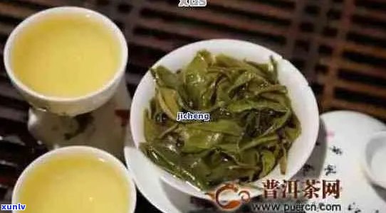 新益号普洱茶生茶：品鉴与选购指南，了解 *** 工艺、功效及适合饮用场景