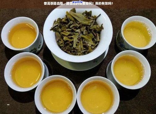 普洱茶与血脂高的关系：降脂还是升脂？