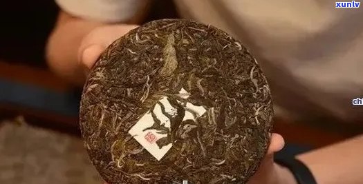 普洱茶十大经典历：百年传承，品质越，文化底蕴深厚