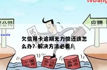 新信用卡逾期还款困境：如何合法解决无能力偿还问题？