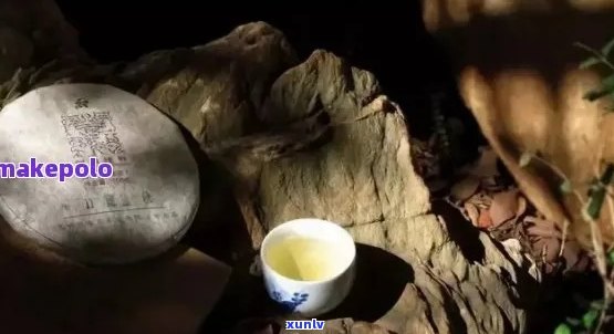 同时享受普洱茶与柠檬水的独特风味：一次味蕾的双重体验