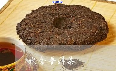 水含香普洱茶有哪些