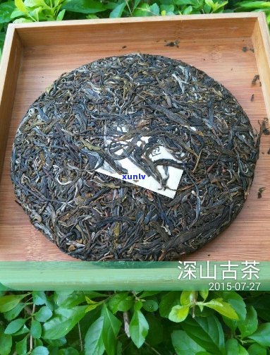 水含香普洱茶有哪些