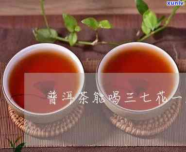 三七和普洱茶一起吃