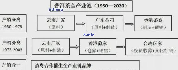 普洱茶产业全景剖析：供应链、市场与未来趋势