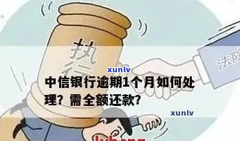 中信信用卡逾期还款攻略：分期方案详解，告别罚息与信用危机！