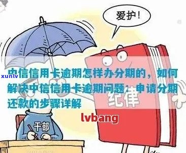 中信信用卡逾期还款分期攻略：详细步骤、影响及解决方案一网打尽