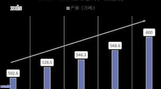 普洱茶产业发展：现状、挑战与未来趋势