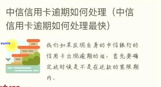 中信信用卡逾期分期政策详解：如何处理逾期账单，享受更灵活的还款方式？