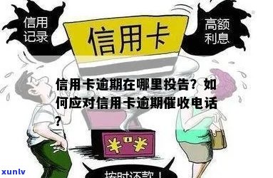 信用卡逾期去哪投诉 *** 最有效，怎么样应对信用卡逾期 *** ？