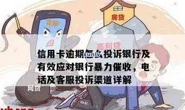 如何有效举报信用卡欠款行为：详细指南与应对策略