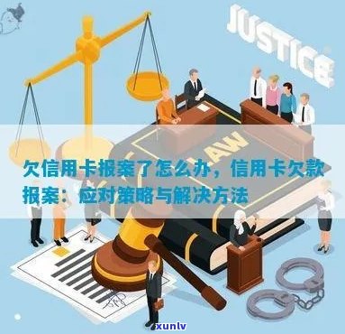 如何有效举报信用卡欠款行为：详细指南与应对策略