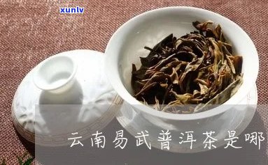 易武普洱茶在哪个县-易武普洱茶属于哪里