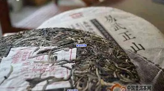 易武普洱茶：源头厂家，品质保证，专业定制与批发服务