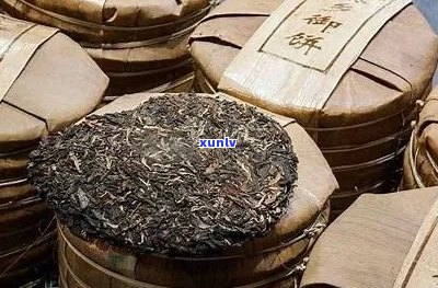 普洱茶：饼茶、砖茶与沱茶的全面对比解析，帮助您轻松选购适合自己的普洱茶