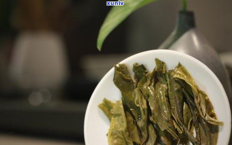 普洱茶饼砖坨：哪种更好喝？