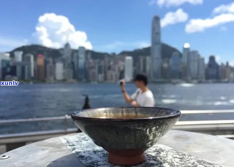 品普洱茶之旅：探索茶文化与风味的融合