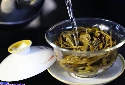 泡了一包普洱茶，如何正确泡法？