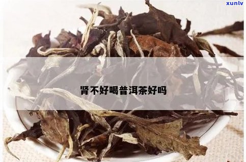 有肾结可服普洱茶吗