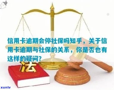 '信用卡逾期能买社保不' - 如何处理逾期信用卡与社保购买的关系？