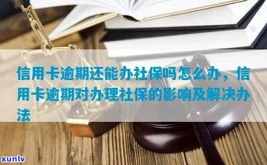 '信用卡逾期能买社保不' - 如何处理逾期信用卡与社保购买的关系？