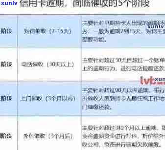 信用卡逾期是否会影响购买社保？以及如何解决逾期问题和购买社保的相关建议