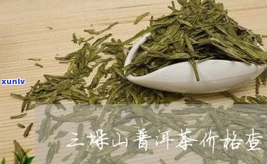 三垛山普洱茶价格：每一斤多少钱？