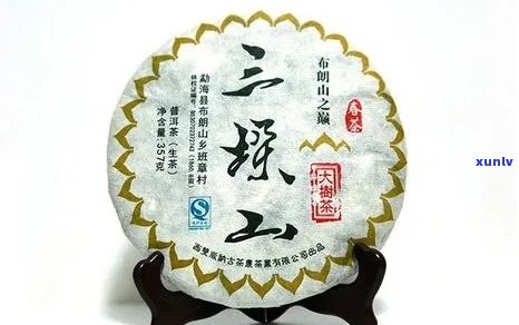 三垛山普洱茶价格：每一斤多少钱？