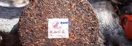 三垛山普洱茶价格：每一斤多少钱？