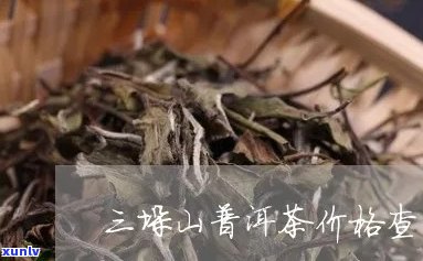 三垛山普洱茶价格：每一斤多少钱？