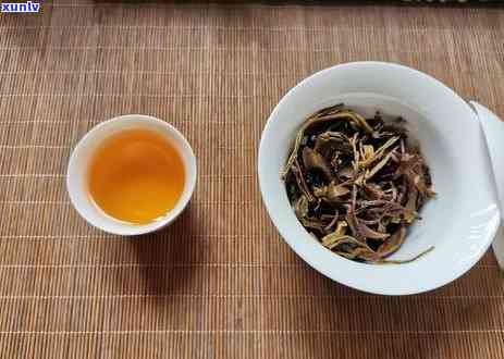 普洱茶饮用时间与节：何时喝普洱茶效果？