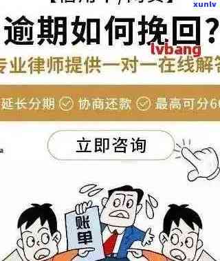 如何解决逾期显示3问题？全面解答相关疑问和应对策略